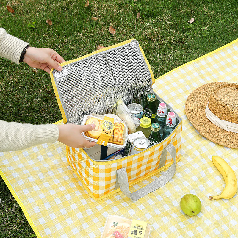 Large Capacity Insulated Picni - Tote Bag Sublimation 리뷰 및 가격