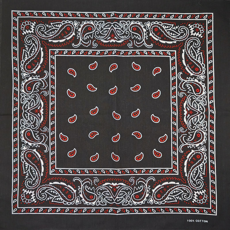 Fashion Unisex Black Paisley H - Bandana Blank White 리뷰 및 가격