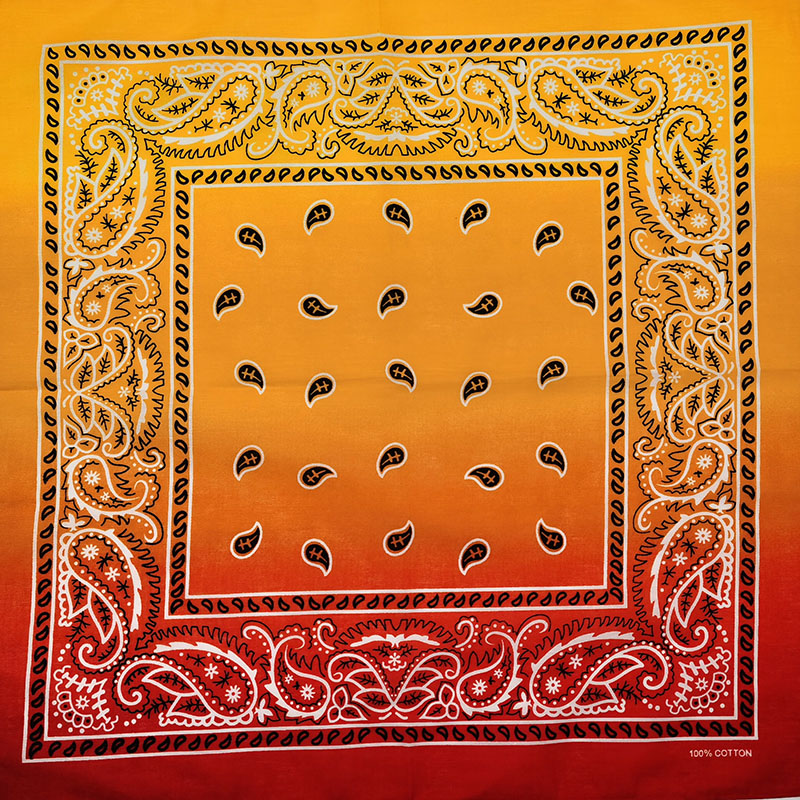 Fashion Unisex Black Paisley H - Bandana Blank White 리뷰 및 가격